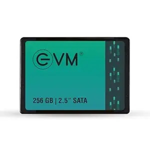 EVM 256GB 2.5" SATA Solid State Drive (SSD)